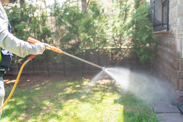Reliable Sackets Harbor, NY Pest Control Solutions